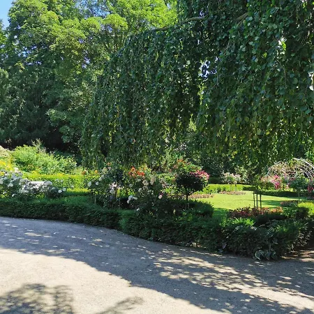 Apartment Quirin Neuss