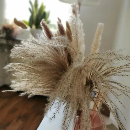 公寓 Quirin 诺伊斯