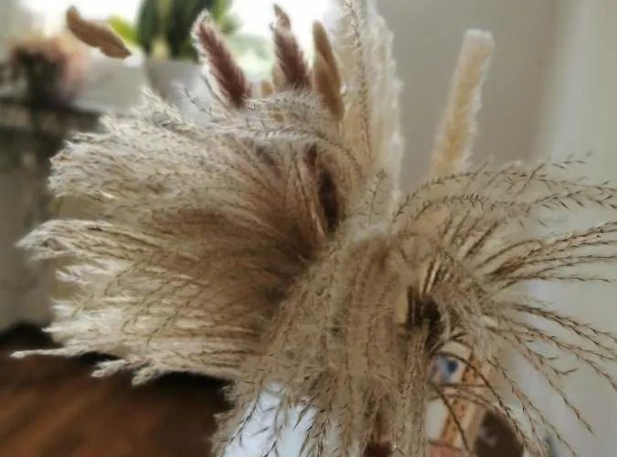 Lejlighed Quirin Neuss